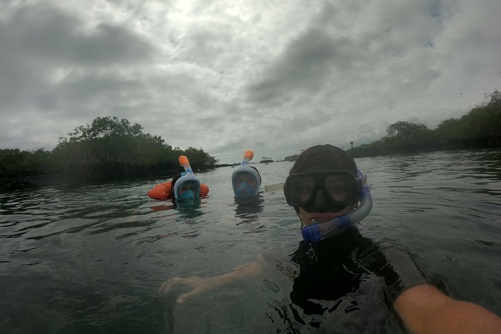  Isla Pinzón - Day Tour - From Santa Cruz - Islas Galápagos - Photo 1 of 8
